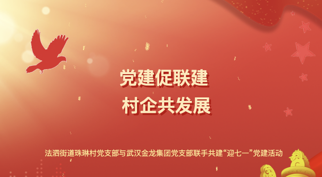 “黨建促聯(lián)建 村企共發(fā)展”——法泗街道珠琳村黨支部與武漢金龍集團(tuán)黨支部聯(lián)手共建“迎七一”黨建活動